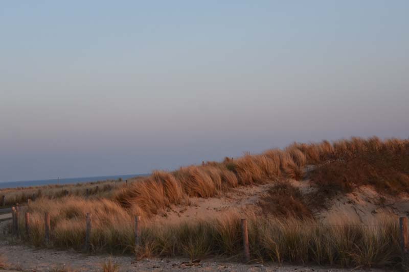 19-04-19_NL_0012_GA2_9420