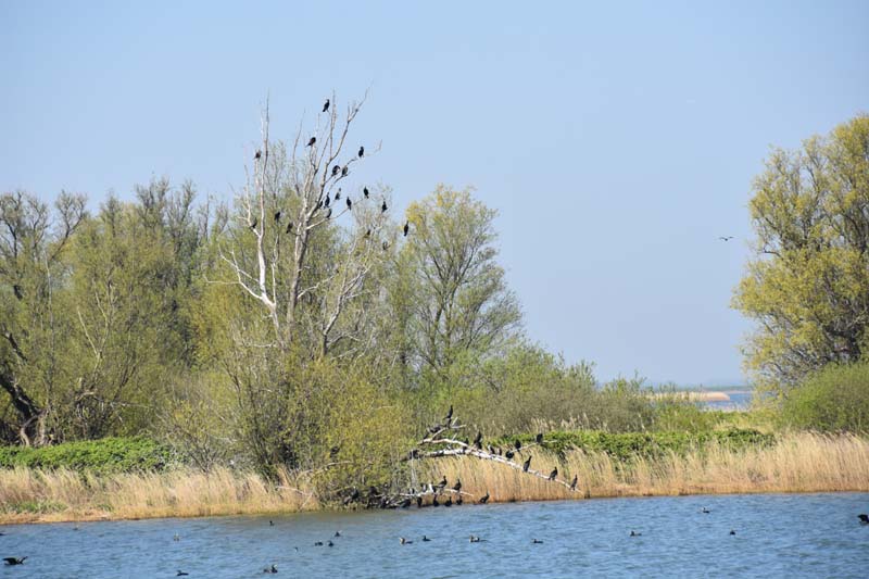 19-04-19_NL_0159_GA2_9567