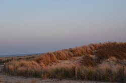 19-04-19_NL_0012_GA2_9420