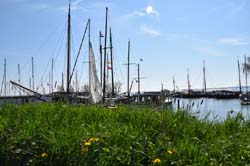 19-04-19_NL_0099_GA2_9507