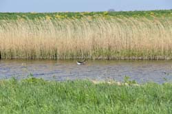 19-04-19_NL_0156_GA2_9564