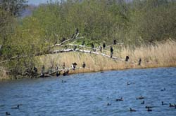 19-04-19_NL_0162_GA2_9570