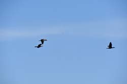 19-04-19_NL_0168_GA2_9576