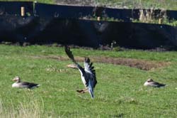 19-04-19_NL_0264_GA2_9672-a